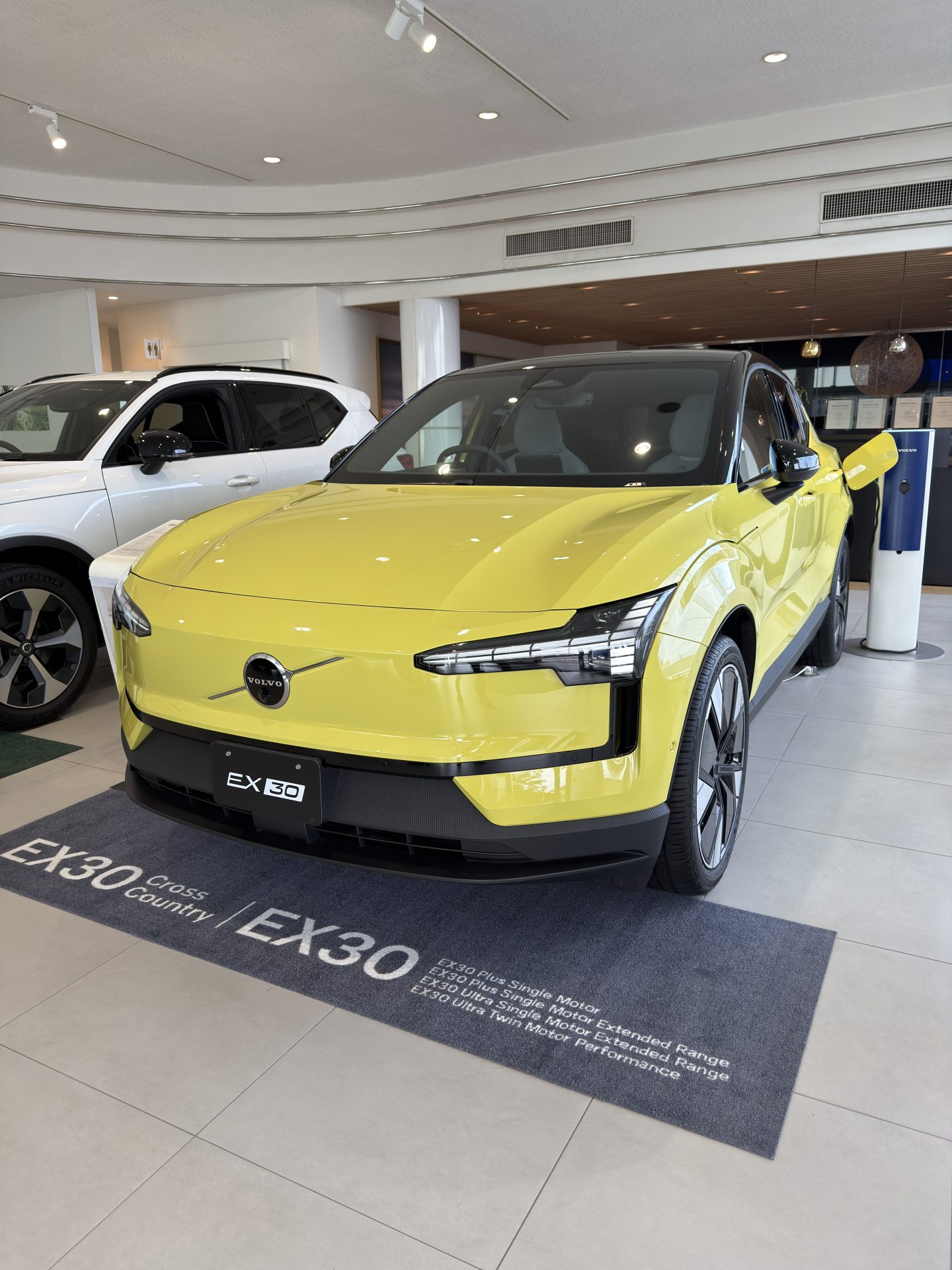 EX30 Ultra Single Motor Extended Range